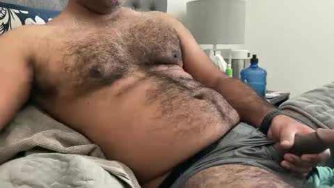 wildhungry online show from 18, 2, 2025