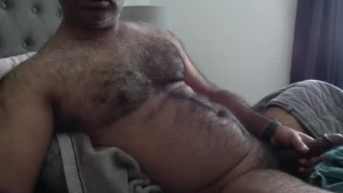 wildhungry online show from 17, 11, 2025