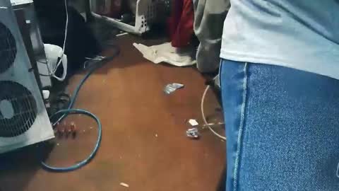 wildman6 online show from 24, 4, 2026