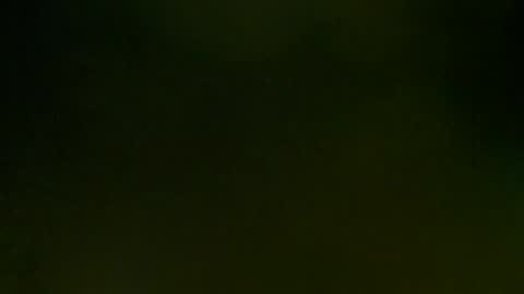 Snapshot of wildpersia chatting on 8, 3, 2025 WildPersia online show from 8, 3, 2025