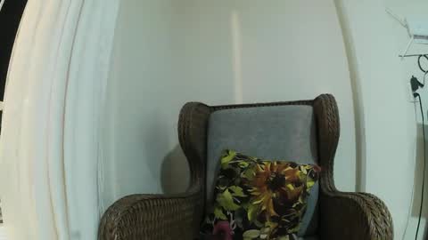 Wild Strawberry online show from 3, 2, 2025