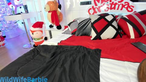 Snapshot of wildwifebarbie chatting on 11, 12, 2024 Angelica 49 online show from 11, 12, 2024