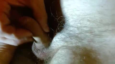 wildwills online show from 27, 4, 2026