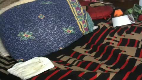 Willamyth online show from 9, 2, 2025