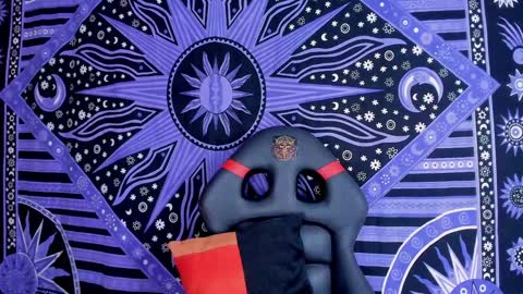 willy_veins online show from 21, 12, 2024