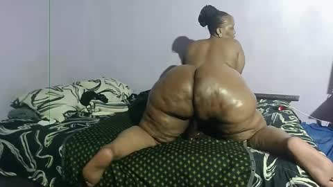 Snapshot of wilmaassylum chatting on 24, 1, 2025 wilmaassylum online show from 24, 1, 2025