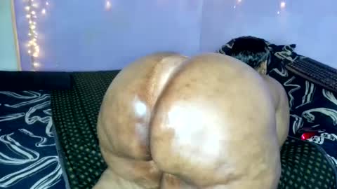 Snapshot of wilmaassylum chatting on 20, 11, 2025 wilmaassylum online show from 20, 11, 2025