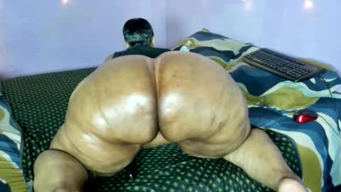 Snapshot of wilmaassylum chatting on 21, 11, 2025 wilmaassylum online show from 21, 11, 2025