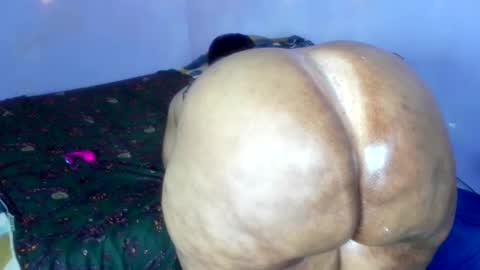 Snapshot of wilmaassylum chatting on 1, 12, 2025 wilmaassylum online show from 1, 12, 2025