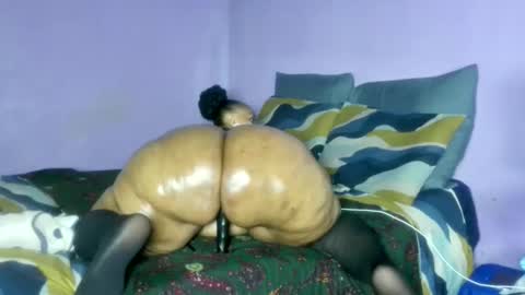 wilmaassylum online show from 20, 2, 2026