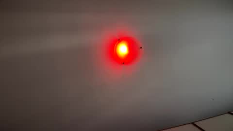 Witebull online show from 17, 9, 2025