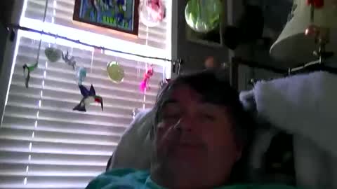 Snapshot of wldlife chatting on 28, 5, 2026 wldlife online show from 28, 5, 2026