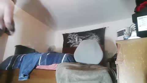 wolfman79 online show from 24, 3, 2026