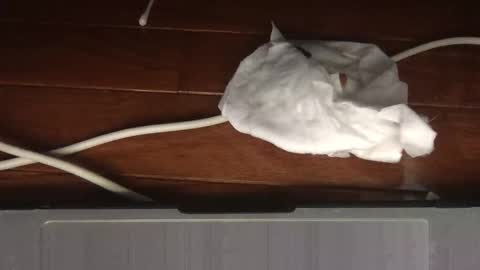 Sultan Blaze online show from 19, 2, 2026