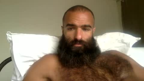 woof_wolf37 online show from 26, 5, 2026