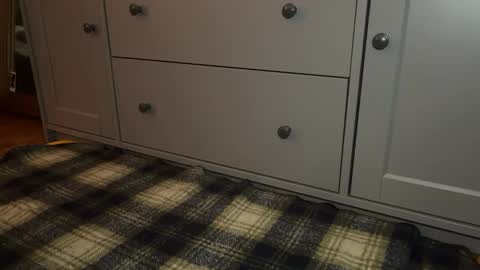 Snapshot of wookmortyy chatting on 21, 12, 2025 Sage online show from 21, 12, 2025