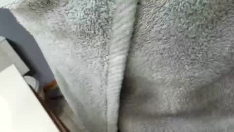 workingman6969 online show from 26, 2, 2025