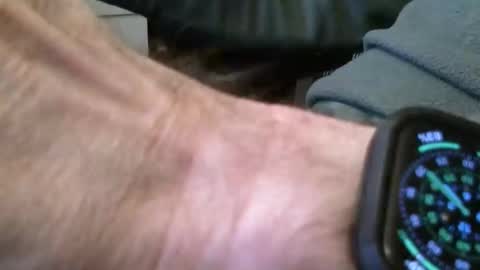 wrangleat0r online show from 16, 11, 2025