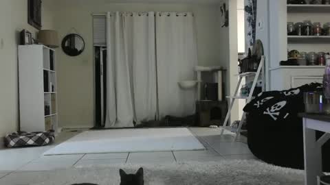 Snapshot of wrenleigh chatting on 26, 12, 2024 Crystal Lake online show from 26, 12, 2024