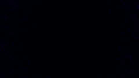 Paul online show from 11, 2, 2025