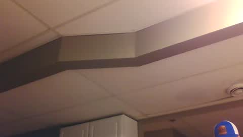 Snapshot of wundrsword33 chatting on 7, 1, 2025 BONER DONOR online show from 7, 1, 2025