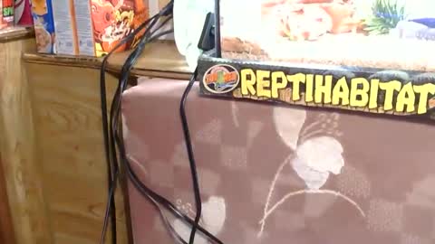 x2kayx2 online show from 13, 1, 2026