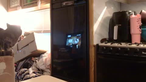 x2kayx2 online show from 3, 2, 2026