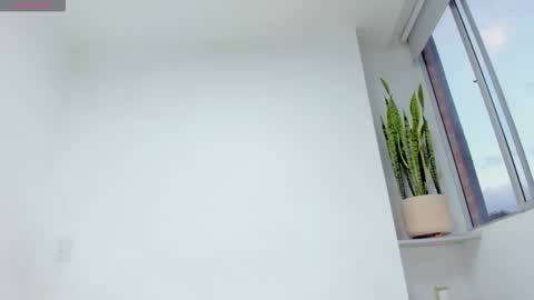 Xavier online show from 17, 12, 2025