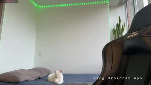 Snapshot of xavier_colleman chatting on 7, 5, 2026 Xavier online show from 7, 5, 2026