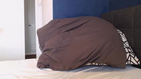 xhotfanx online show from 1, 1, 2025