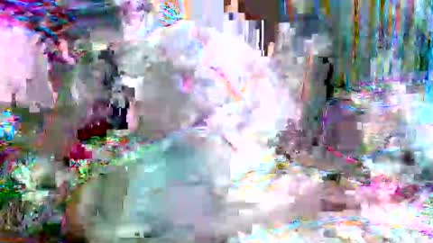 Snapshot of xixo6969 chatting on 20, 2, 2026 xixo6969 online show from 20, 2, 2026