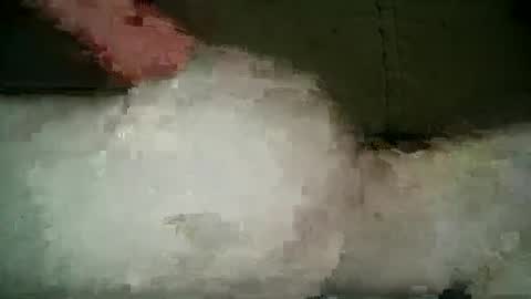 Snapshot of xlecram chatting on 5, 3, 2025 Wendy online show from 5, 3, 2025