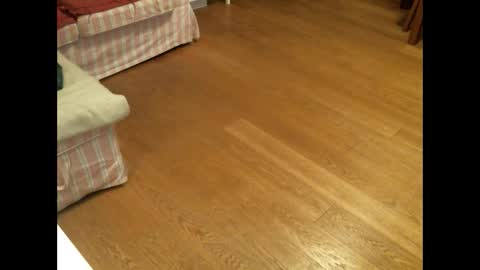 xmystiqdreamsx online show from 26, 1, 2025