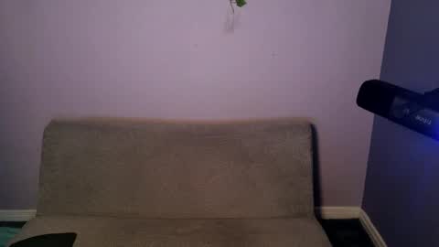 Bambi online show from 11, 4, 2026