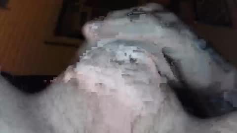 Snapshot of xoxossdfm8894982459 chatting on 20, 12, 2025 xoxossdfm8894982459 online show from 20, 12, 2025