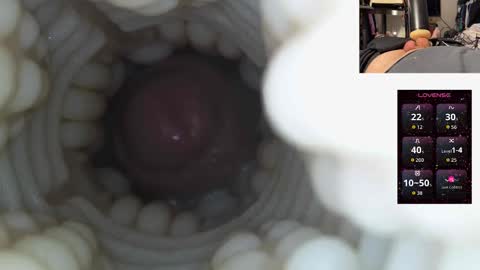 xoxowtf online show from 15, 12, 2025