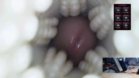 xoxowtf online show from 2, 3, 2026