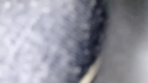 xploid1982 online show from 17, 12, 2025