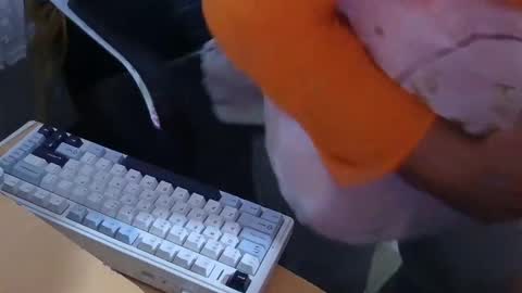 Snapshot of xrokettt chatting on 15, 11, 2025 xrokettt online show from 15, 11, 2025