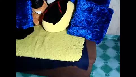 Snapshot of xxloveheart chatting on 12, 1, 2025 xxloveheart online show from 12, 1, 2025