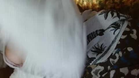   LILI  online show from 21, 1, 2025