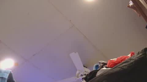 Xzbib online show from 11, 1, 2026