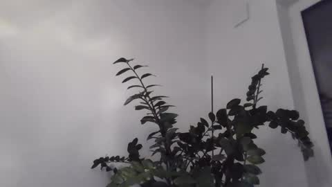 yakijoe online show from 22, 10, 2025