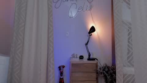 Snapshot of yandracelisoficial chatting on 24, 12, 2024 YANDRA CELIS online show from 24, 12, 2024