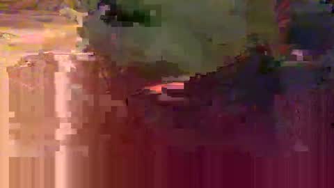 yangolox3 online show from 15, 2, 2026