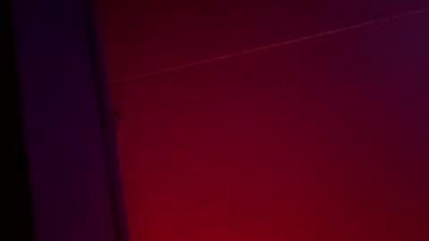 Snapshot of yelladaniella chatting on 1, 12, 2025 Ella Ts online show from 1, 12, 2025