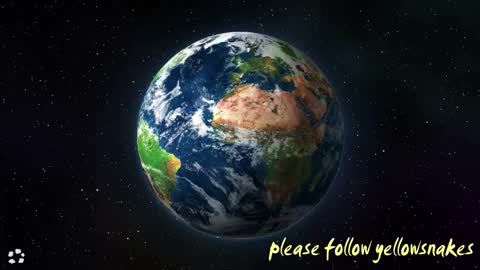 .     y e l l o w s n a k e s       . online show from 1, 2, 2026