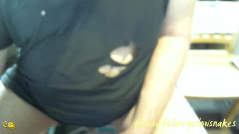 .     y e l l o w s n a k e s       . online show from 8, 2, 2026