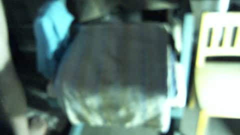 .     y e l l o w s n a k e s       . online show from 19, 2, 2026