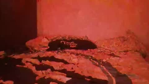 yeshuaaa999 online show from 26, 11, 2025